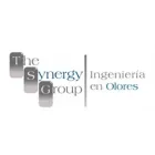 THE SYNERGY GROUP S A