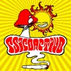 PSICOACTIVO GROWSHOP - SUCURSAL  VIÑA DEL MAR