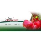 AGRICOLA SAN CLEMENTE LIMITADA