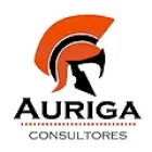 AURIGA CONSULTORES
