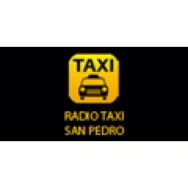 RADIO TAXIS SAN PEDRO Transportes en San Pedro de la Paz BI